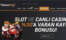 wipbet lisans
